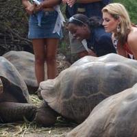 Miss Universe contestants visit the Galapagos Islands
